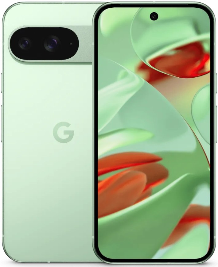 Смартфон Google Pixel 9 12/128GB JP Wintergreen (Зеленый)
