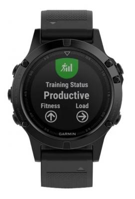 Умные часы Garmin Fenix 5 Sapphire Black (Черный)